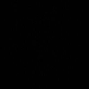 For sell size 10 aqua 5s and with box